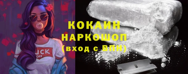стафф Алзамай