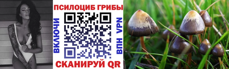 Галлюциногенные грибы ЛСД цена наркотик Борзя